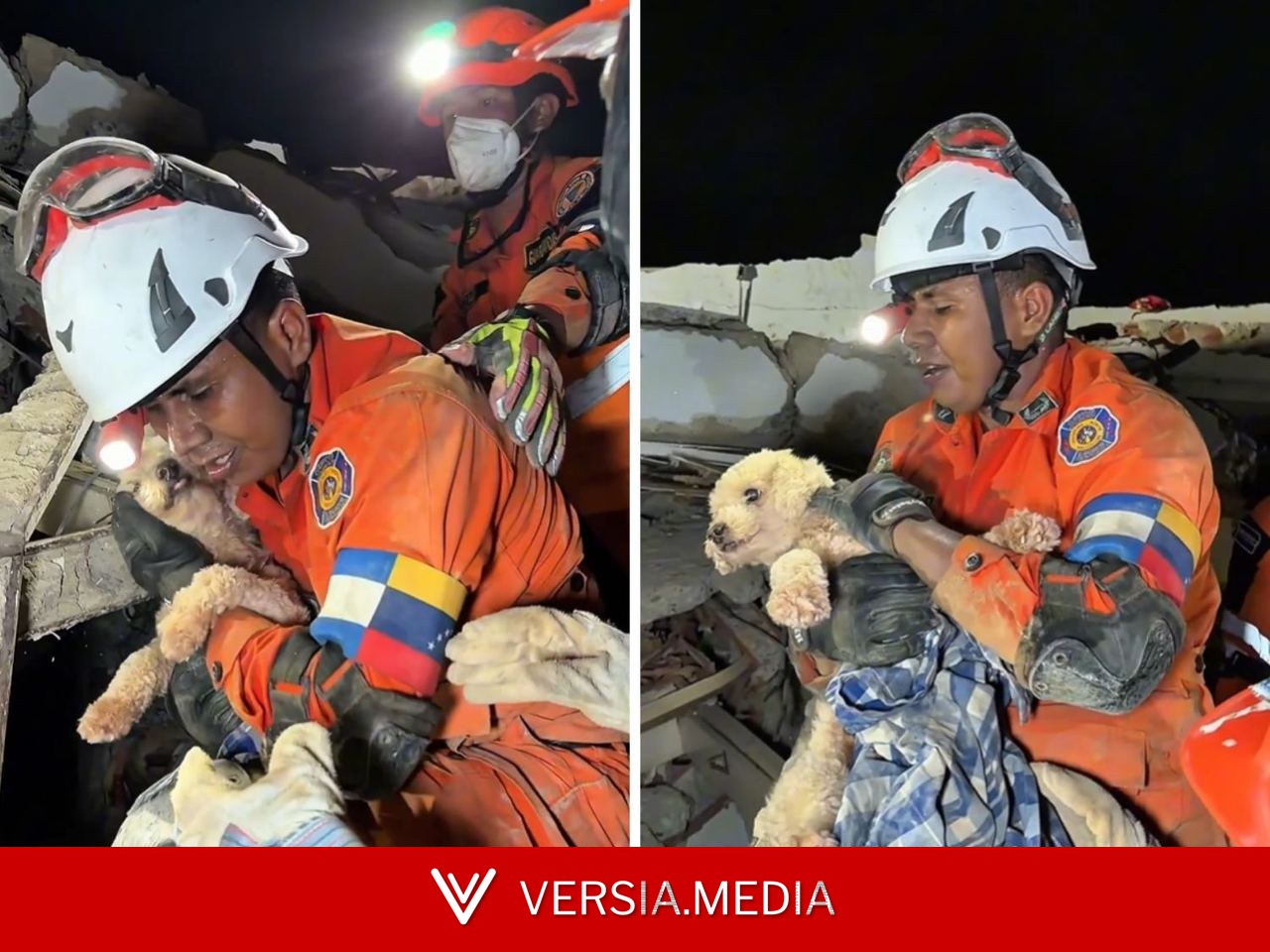 VÍDEO: cachorra é encontrada viva sob os escombros cinco dias após terremoto na Venezuela
