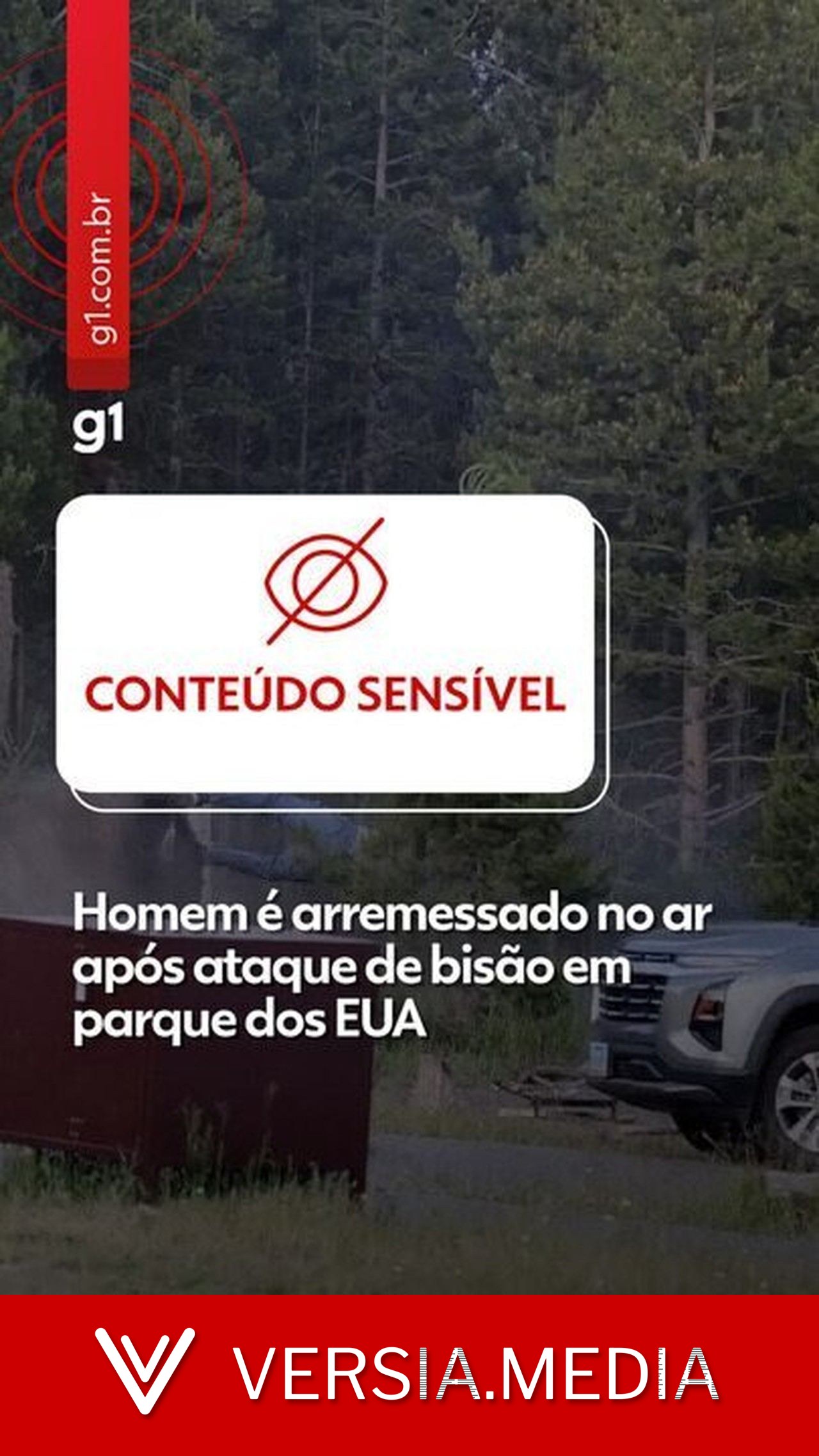 VÍDEO: idoso de 65 anos é atacado por bisão e arremessado no ar em parque dos EUA